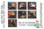 Set of 30 Skinny 20 Tumbler Templates PNG