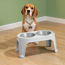 Plato De Comida Para Perro Mediano Gris