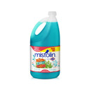 Mistolín Alegra Tu Día 64 oz