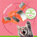 Friskies Paté Salmon Dinner