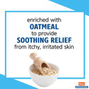 Hartz Ultra Guard Shampoo Mata Pulgas y Garrapatas Avena 18fl oz