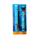 Set Collar & Leash Small Adjustable 10"-16"