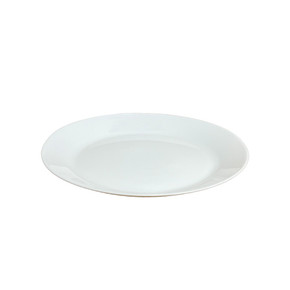 Opal Glass Dinner Plate