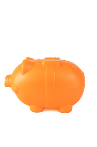 Saving Bank Piggy