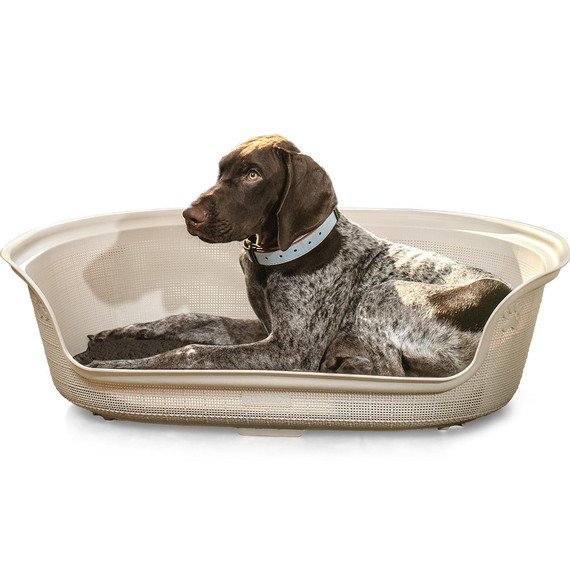 Cama Para Perro Taupe