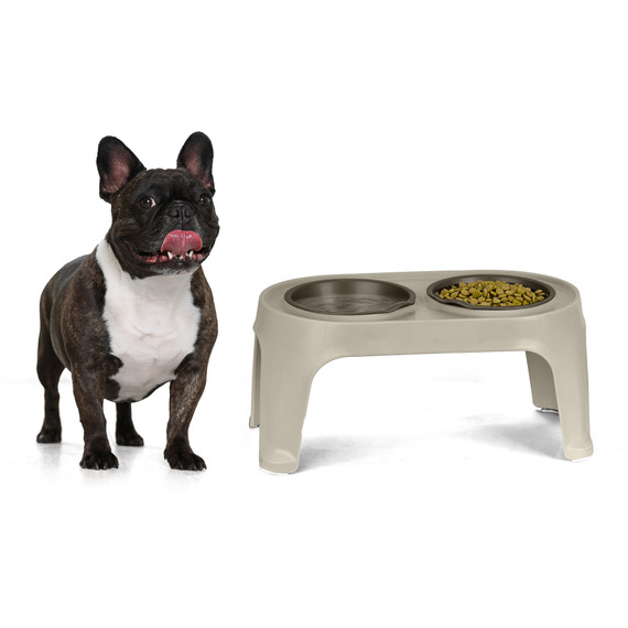 Plato De Comida Para Perro 
