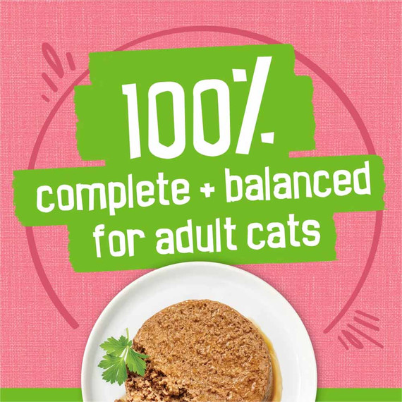 Friskies Paté Salmon Dinner