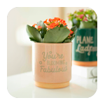 Popular Home & Garden Gifts