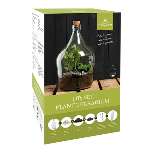 DIY Set Terrarium Bottle 3 Litre