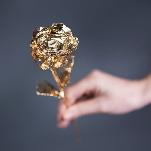 24 Carat Gold Rose