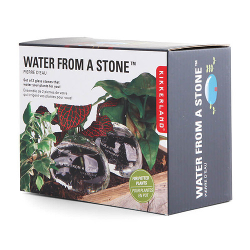 Water From A Stone Self Watering Globes