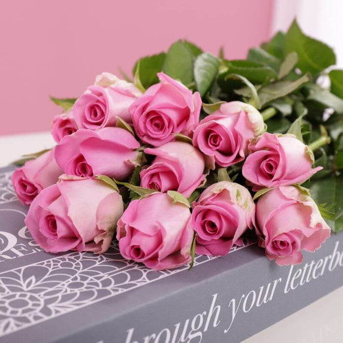 Letterbox Pink Roses