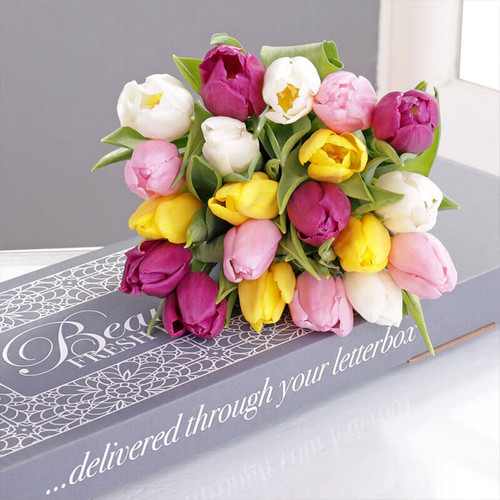 Personalised Letterbox Tulips