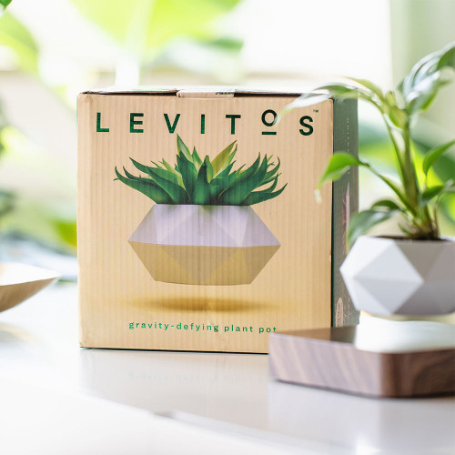 Levitos Plant Pot