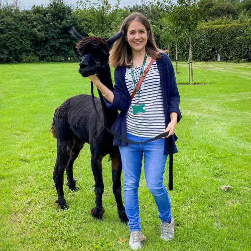 Family Meet & Greet with the Alpacas