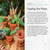 The Little Book of Cacti and Succulents