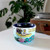Disaster Design The Beatles Yellow Submarine Cup