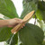 Plant Leaf Cleaner Tongs