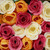 Heathcote & Ivory Rose Bath Petals