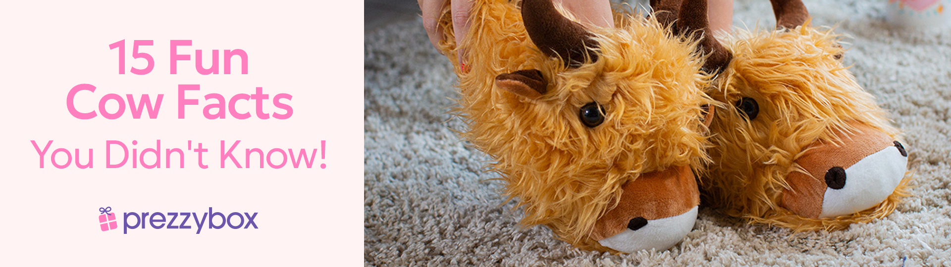 Highland Cattle Plush Slipper Socks for Kids