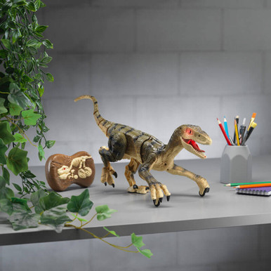 Click to view product details and reviews for Rc Dinosaur.