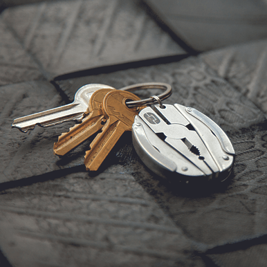 Multi Tool Keyring Scarab