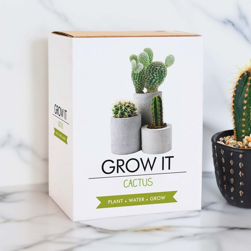 Grow It Cactus Indoor Plant Kit