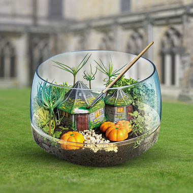 Image of Harry Potter Hagrid's Hut Terrarium