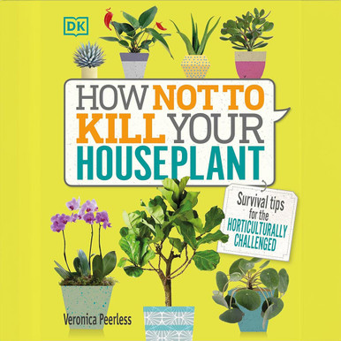 How Not To Kill Your Houseplant