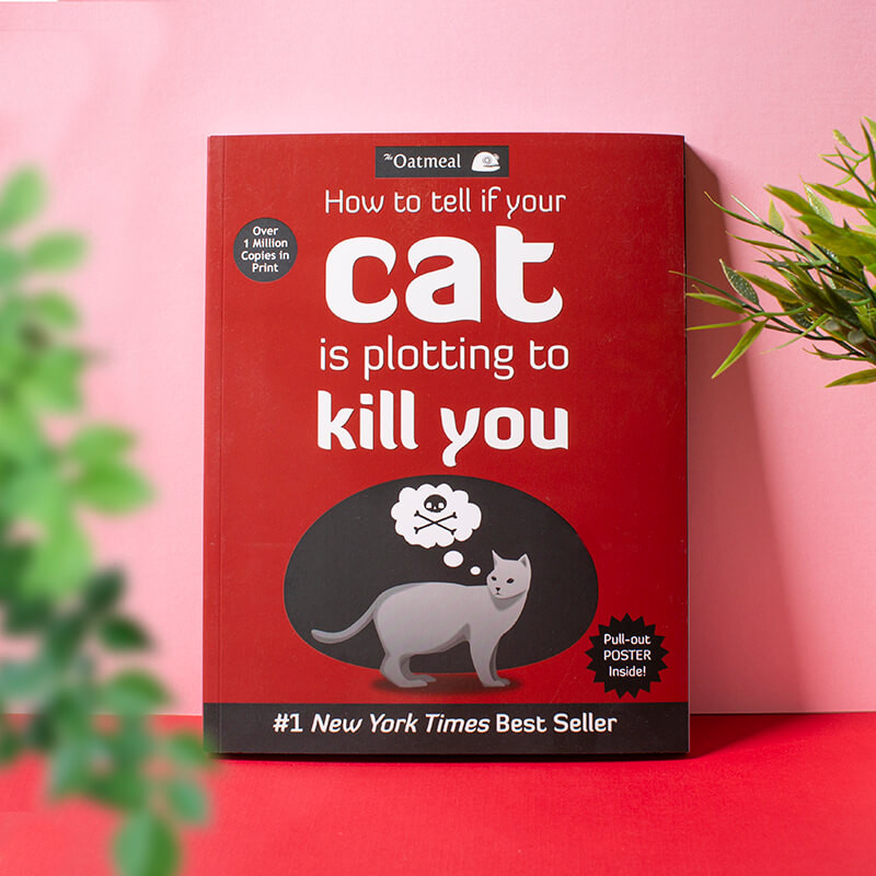 How To Tell If Your Cat Is Plotting Kill You