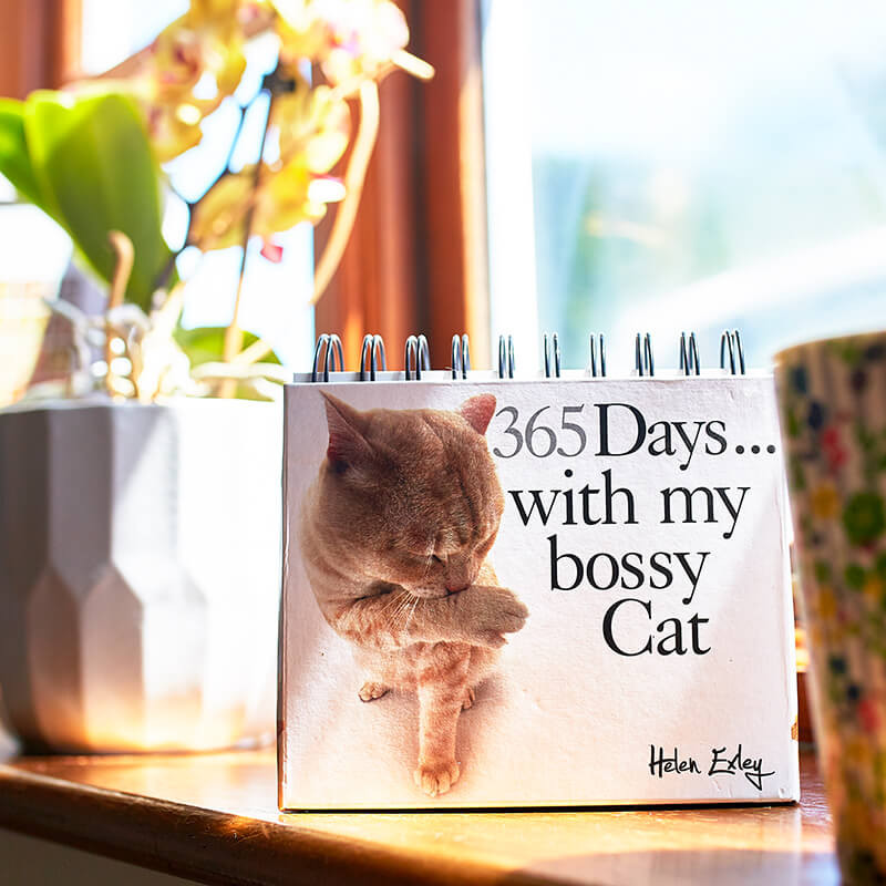 365 Days With My Bossy Cat