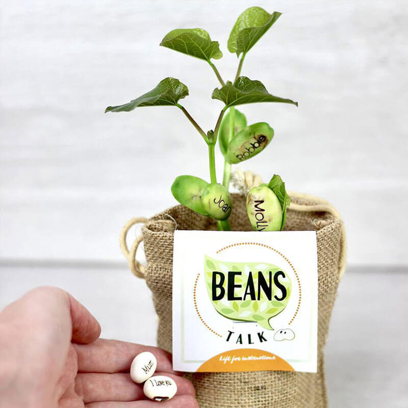 Message Beans Seeds