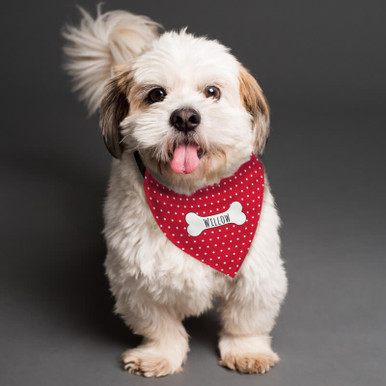 Image of Personalised Red Spot Dog Bandanna