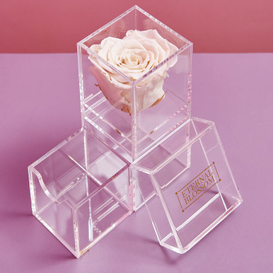Click to view product details and reviews for One Year Roses Make Up Box Single.