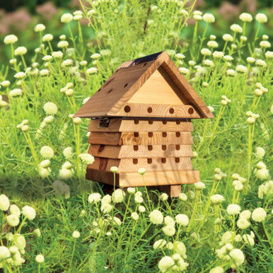Image of Solitary Bee Hive