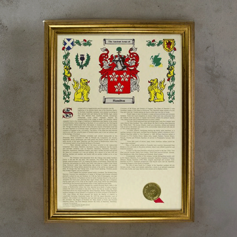 Image of Coat of Arms and Surname History Print