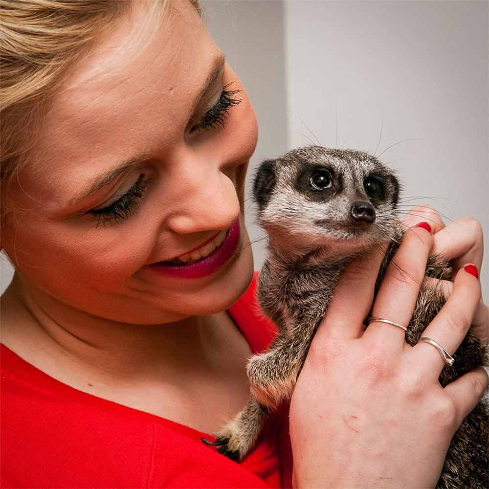 Meerkat Encounter for Two