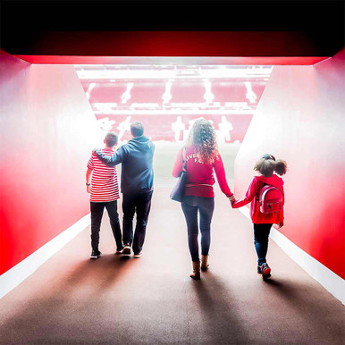 Click to view product details and reviews for Elite Football Stadium Tour.