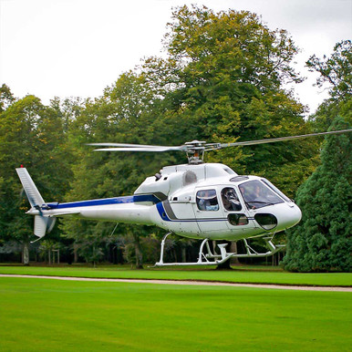 Click to view product details and reviews for Helicopter Buzz.