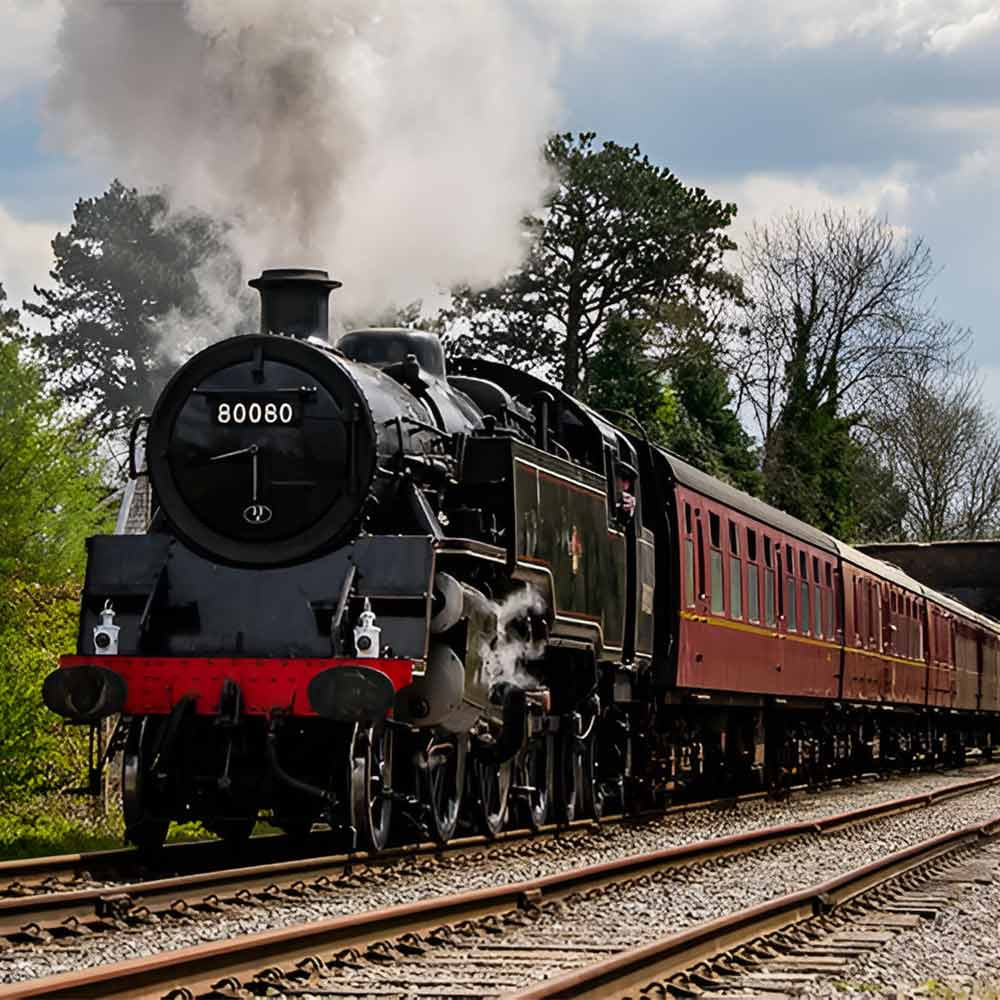 Steam Train Ride