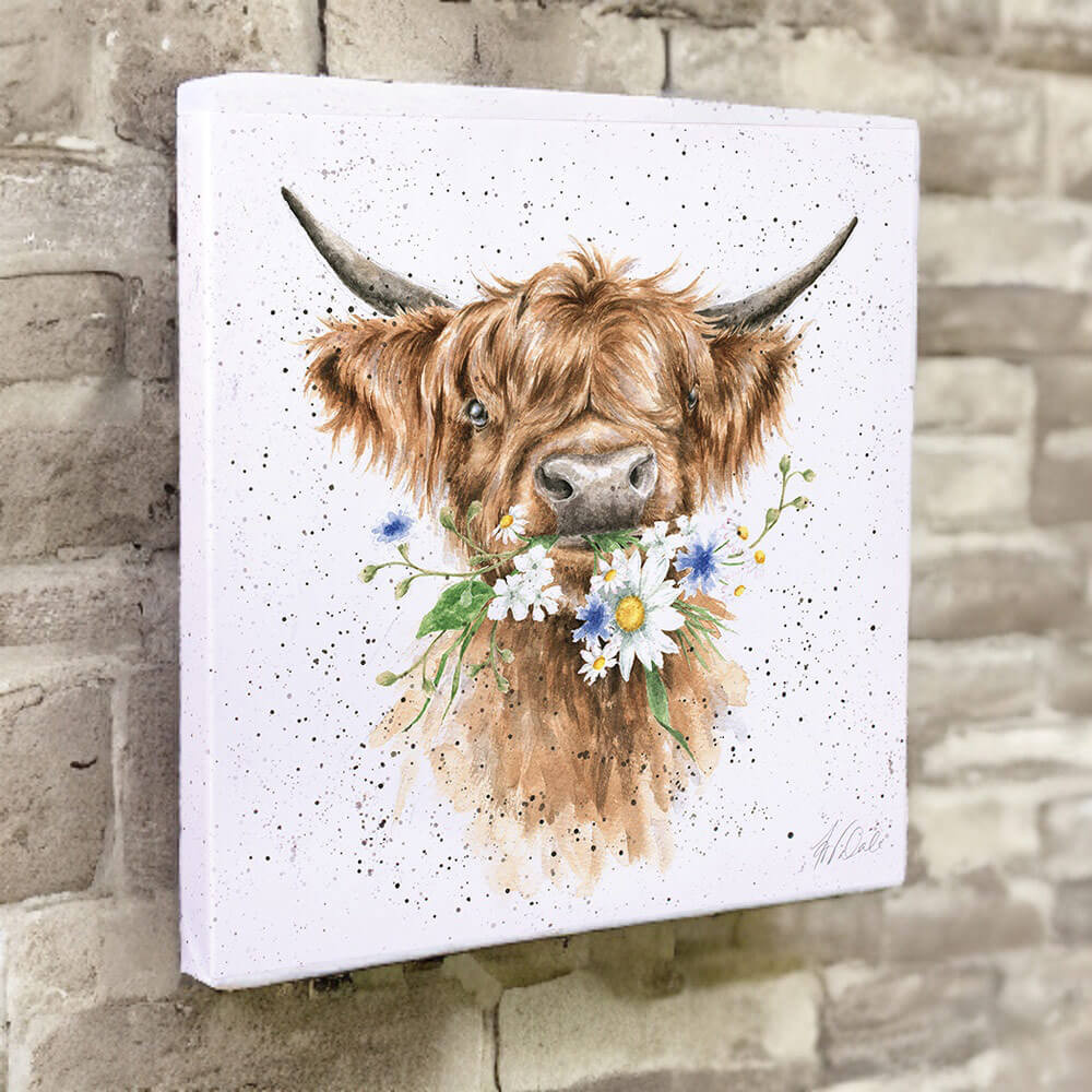 Wrendale Daisy Highland Cow Canvas Print