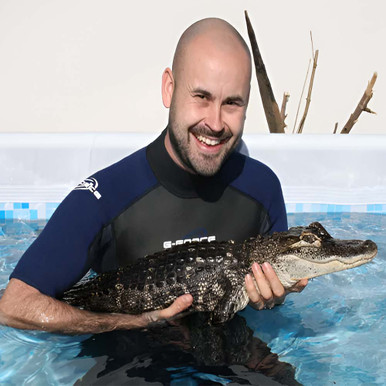 Click to view product details and reviews for Swimming With The Crocodiles For Two.