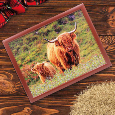 Image of Highland Cow & Calf Laptray