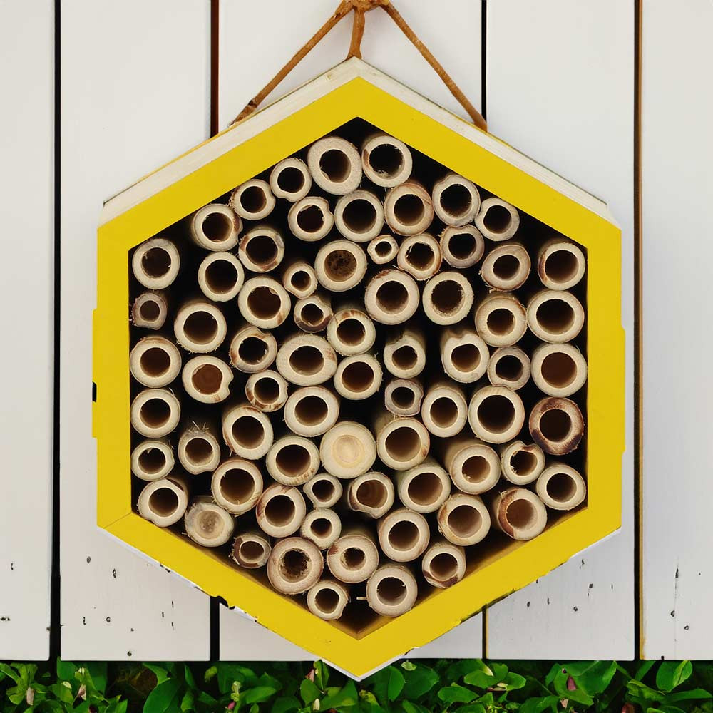Wooden Bee House