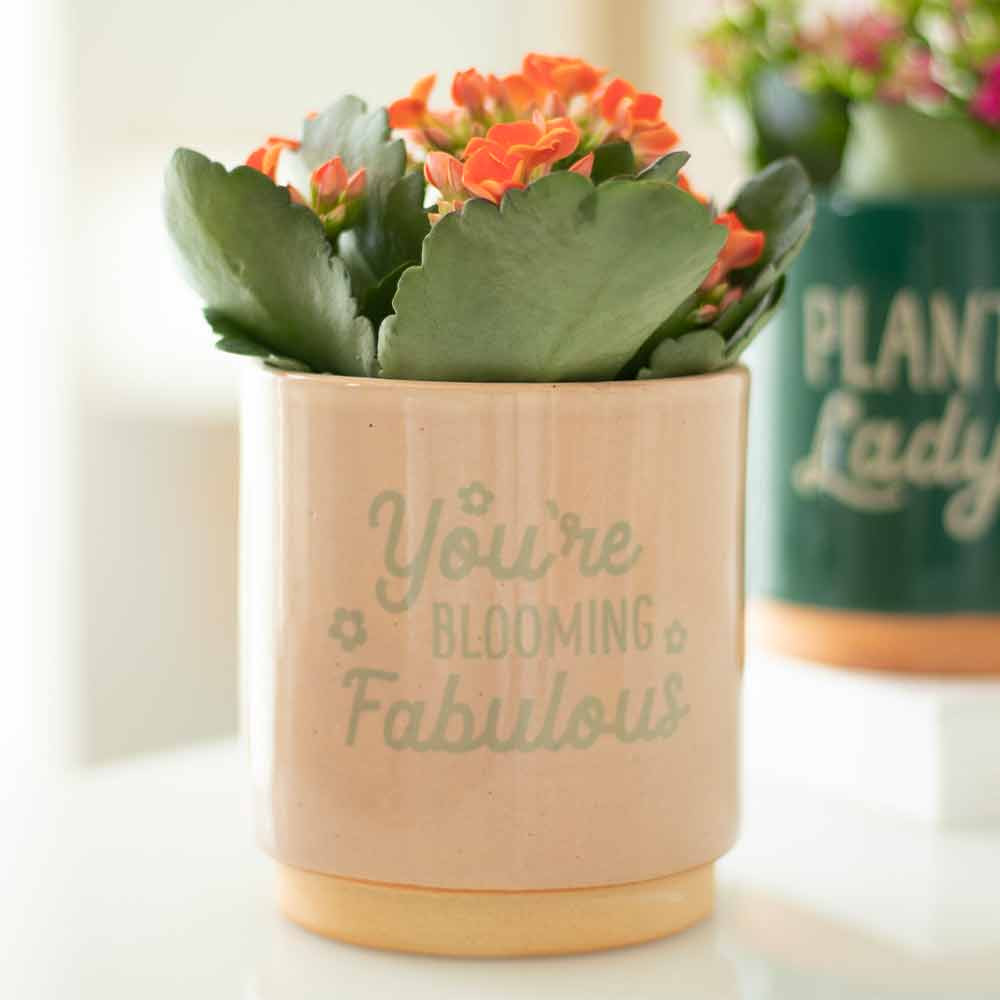 Your Blooming Fabulous Plant Pot