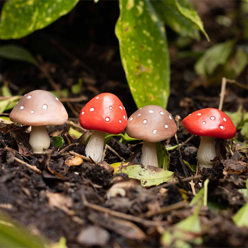 Set Of 4 Plant Pot Pals - Mini Mushroom