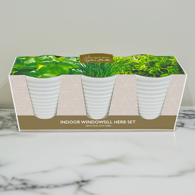 Click to view product details and reviews for Grow Your Own Herbs Indoors Ceramic Trio Set.