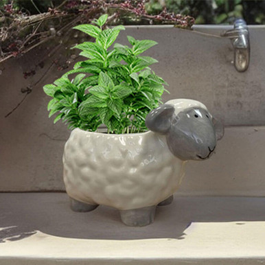 Image of Novelty Mint Seeds Sheep Planter