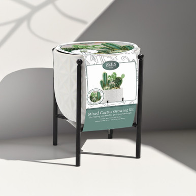 Click to view product details and reviews for Cactus Indoor Gift Set. Click to view product details and reviews for Cactus Indoor Gift Set.