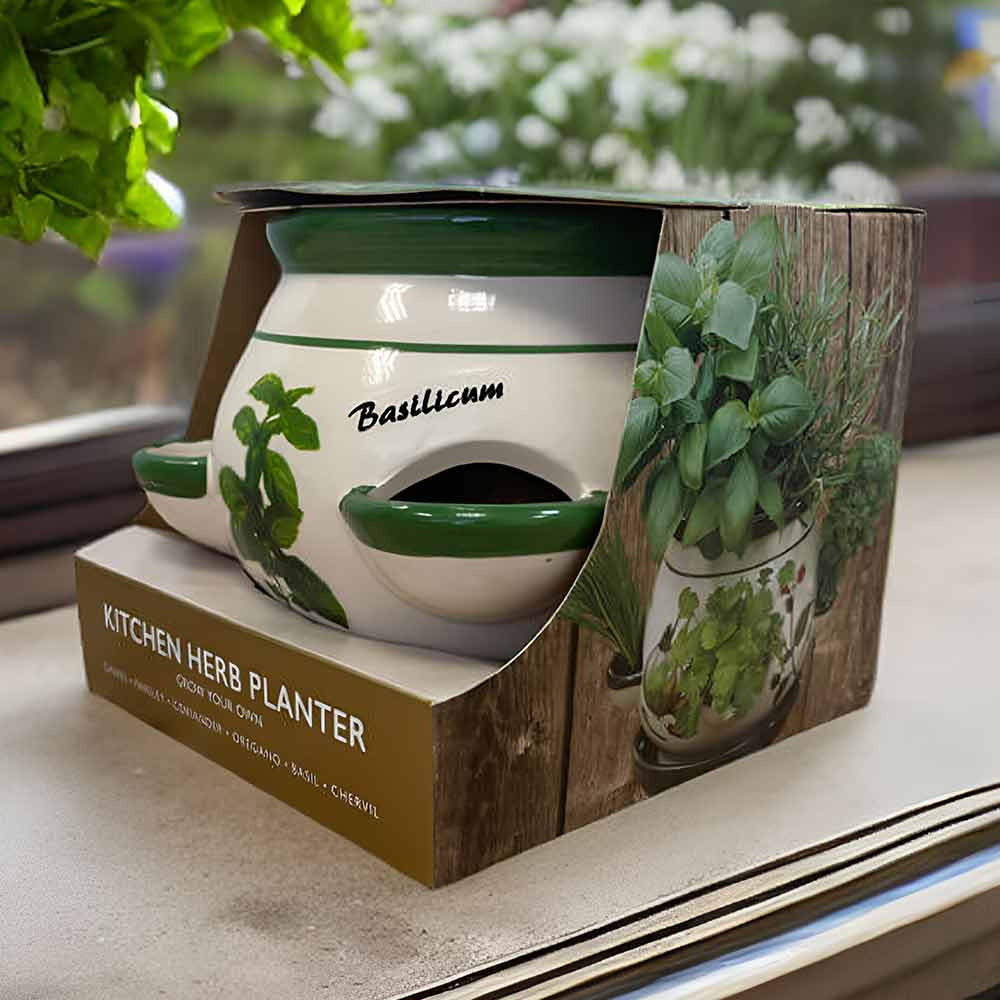 Kitchen 6 Types of Seeds Herb Pot